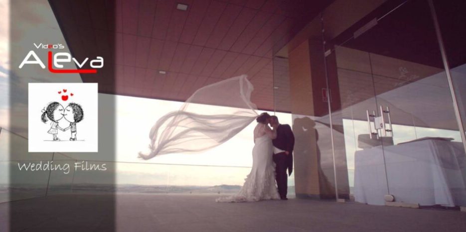 boda-en-jerez-de-carmen-y-daniel boda en jerez