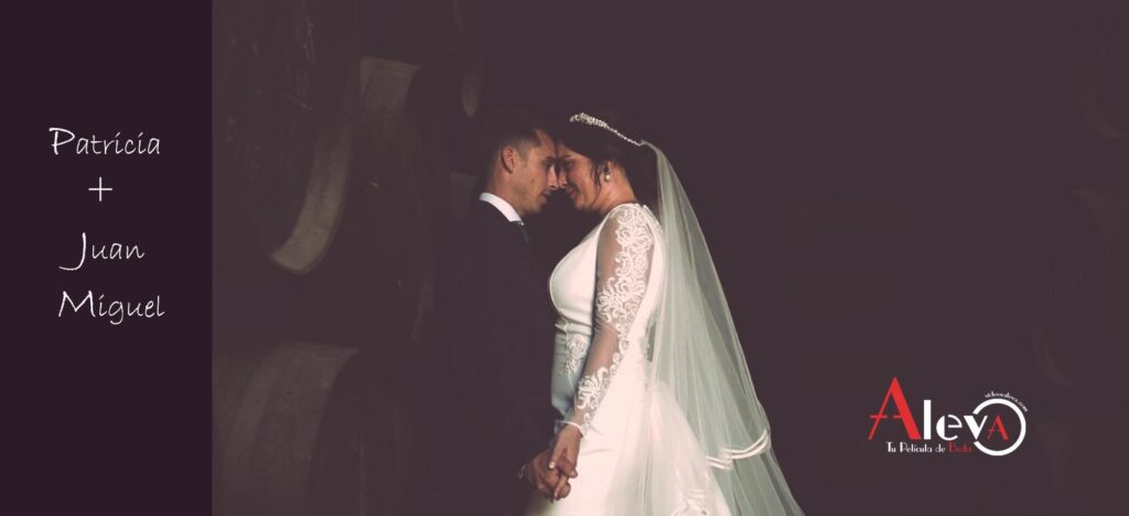 Boda en Bodegas Real Tesoro