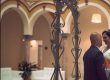 una boda civil en sanlucar